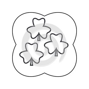 three-leaf clovers. Vector illustration decorative background design