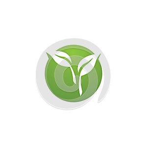 three leaf logo design. green leaf eco logo template - vector.