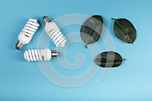 Three leaves of ficus and Three Energy saving lamp in shape eco green energy recycling isolated on the blue, caption for