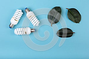 Three leaves of ficus and Three Energy saving lamp in shape eco green energy recycling isolated on the blue, caption for