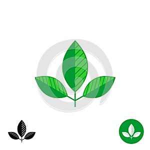 Three leaves simple natural logo