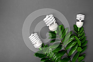 Three LED lamp with green leaf, ECO energy concept, close up. Light bulb on grey background. Saving and Ecological Environment. C