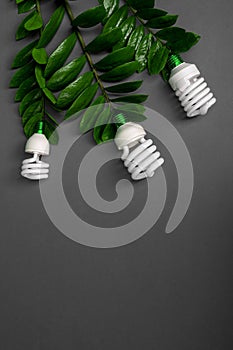 Three LED lamp with green leaf, ECO energy concept, close up. Light bulb on grey background. Saving and Ecological Environment. C