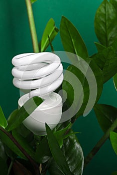 Three LED lamp with green leaf, ECO energy concept, close up. Light bulb on grey background. Saving and Ecological Environment. C