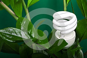 Three LED lamp with green leaf, ECO energy concept, close up. Light bulb on grey background. Saving and Ecological Environment. C