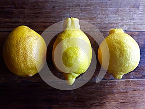 Three lemons on wooden table