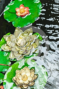 Three submerged lily pads with different flowers, growing from center of the lily pad