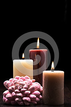 Three lit candles on wooden table with black background and a pink flower arrangment. Rembrandt lighting inspired Christmas scene