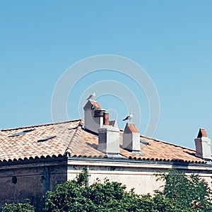 Three little birds in the south of France, Toulon