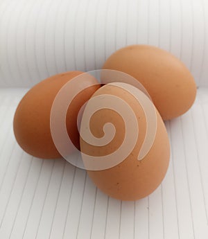 Three Little Chicken Eggs Image