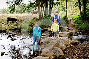 Three little children hiking in forest. Two kid boys and toddler girl passing creek. Happy healthy kids having fun in