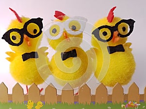 Three little Easter chicks behind a fence on a white background