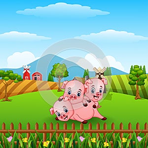 Three little pig playing at hills