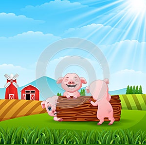 Three little pigs playing logs at hills