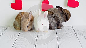 Three little rabbits. animals for Valentine`s Day. Cute hares on a white background with red hearts. Agriculture, rabbit