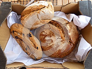 Three loaves of artisanal bread