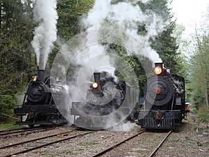 Three logging steam locomotives on parade