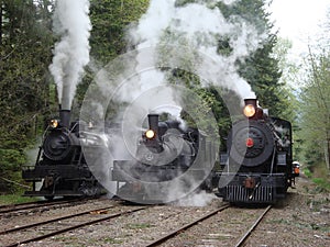 Three logging steam locomotives on parade photo