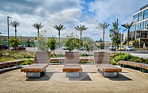 Three loungers amidst the palm trees