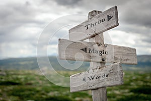 three magic words text engraved on old wooden signpost outdoors in nature