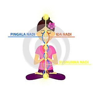 The three main nadis: ida, pingala, and sushumna.