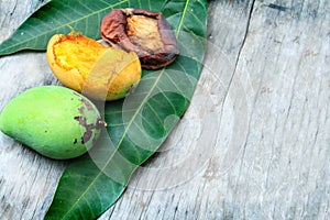 Three mango, green, yellow, red like reggae color on wood table background.