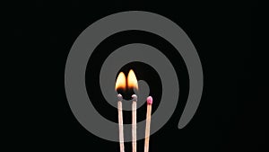 Three Matchsticks Ignites and Burns on a Black Background Close-Up