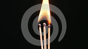 Three Matchsticks Ignites and Burns on a Black Background Close-Up