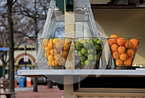 Three metal containers full of citrus fruit on outdoor shelving