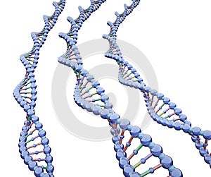 Three Metallic DNA Chains photo