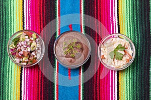 Three mexican salsas photo