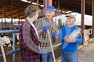 Milk farm workers talking in cowhouse