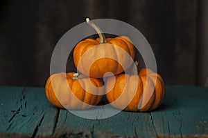 Three mini orange pumpkins on turquoise background.