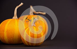 Three mini pumpkins on dark background, copy space