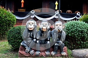 Three monkey,close up of hand small statues with the concept of see no evil, hear no evil and speak no evil.