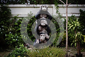 three monkey hand symbols in garden
