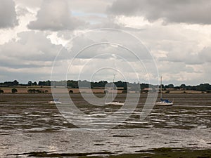 Three moored white boats in estuary tide out manningtree