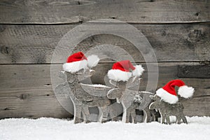 Three mooses wearing santa hats on grey wooden bac