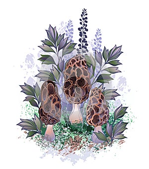 Three morel mushrooms