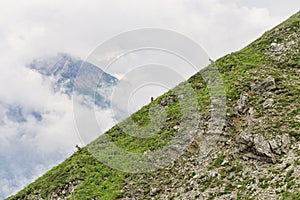 Three mountain gotas at alpine slope photo