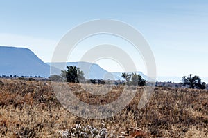 The Three Mountains And Trees - Cradock Landscape photo