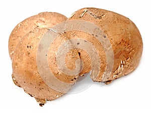 Three mushroom
