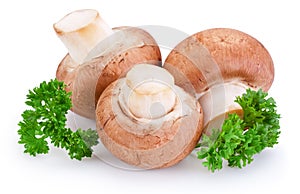 Three mushroom and green leaves of parsley isolated on white background