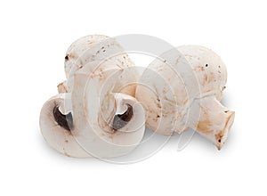 Three mushroom isolated