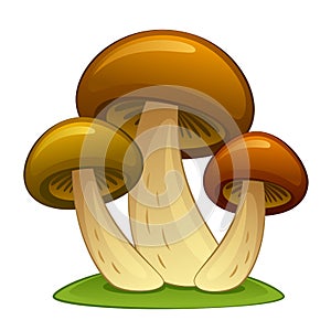 Three mushrooms