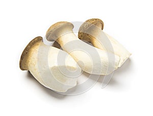 Three mushrooms