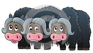 Three muskoxen theme image 1