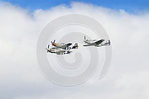 Three Mustangs in Flight