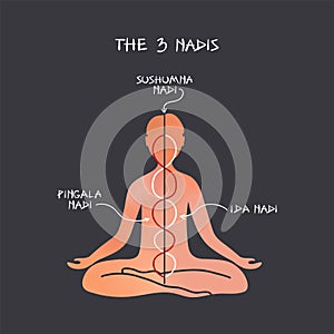 The Three Nadis Infographic