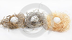 Three Natural Bird Nests with Eggs